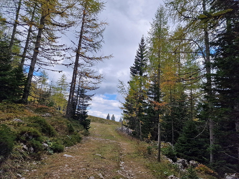 Križevnik, 18. 10. 2025