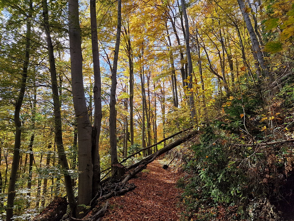 Mrzlica, 25. 10. 2025