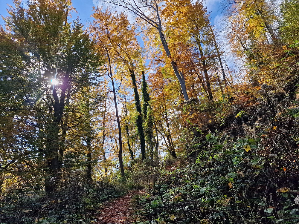 Mrzlica, 25. 10. 2025