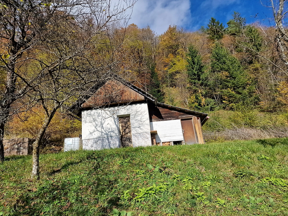 Mrzlica, 25. 10. 2025