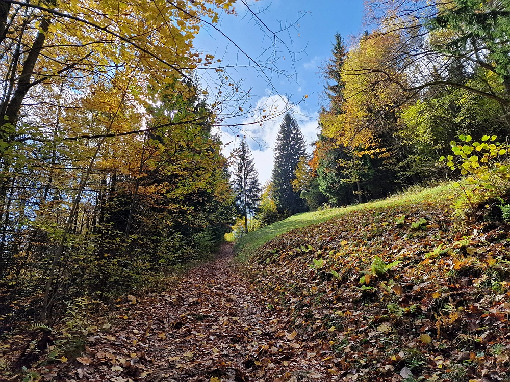 Mrzlica, 25. 10. 2025