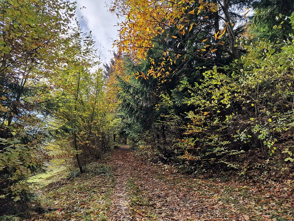 Mrzlica, 25. 10. 2025