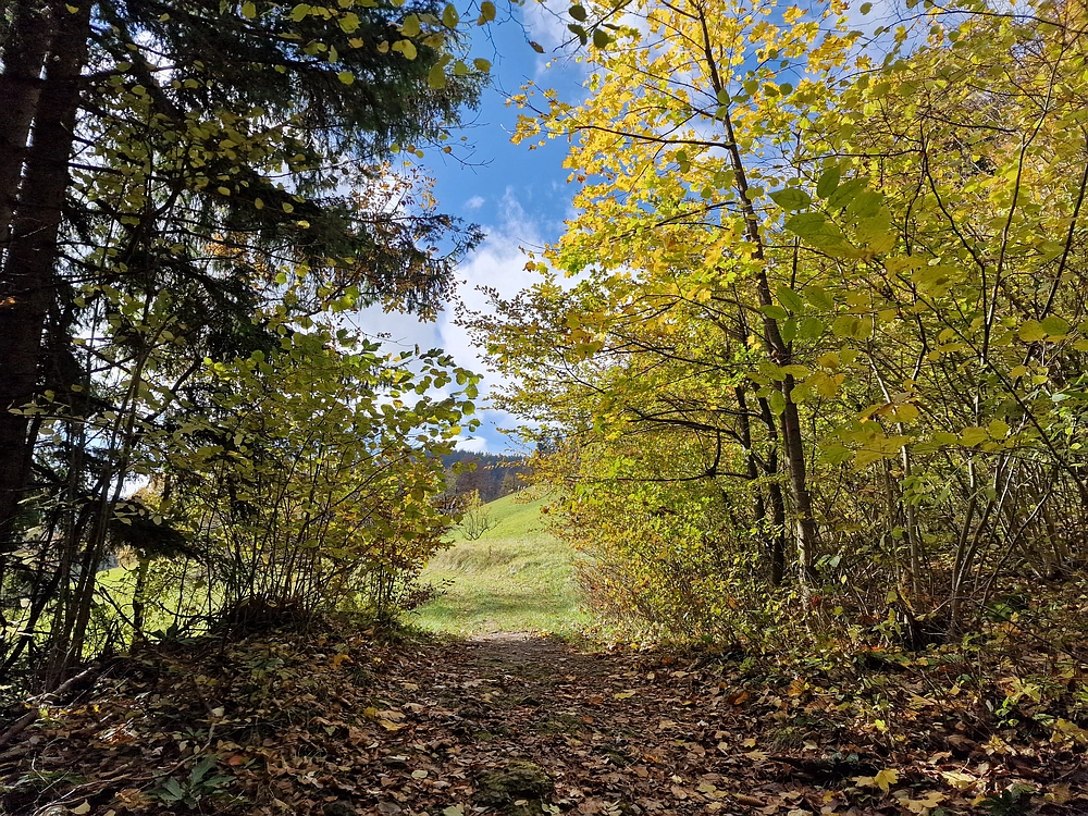 Mrzlica, 25. 10. 2025