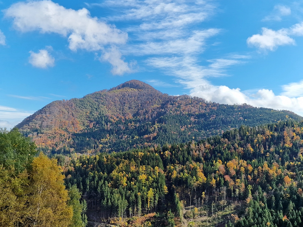 Mrzlica, 25. 10. 2025