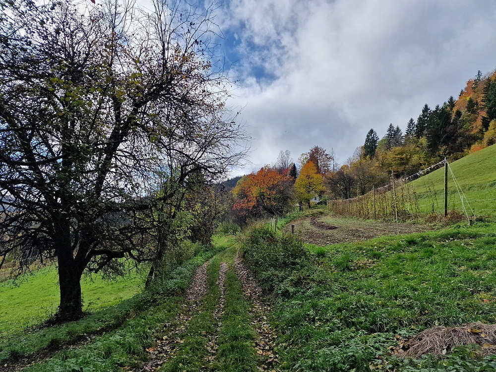 Mrzlica, 25. 10. 2025