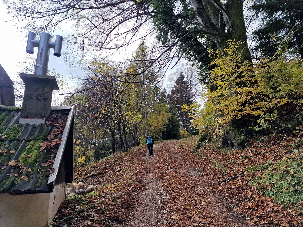 Mrzlica, 25. 10. 2025