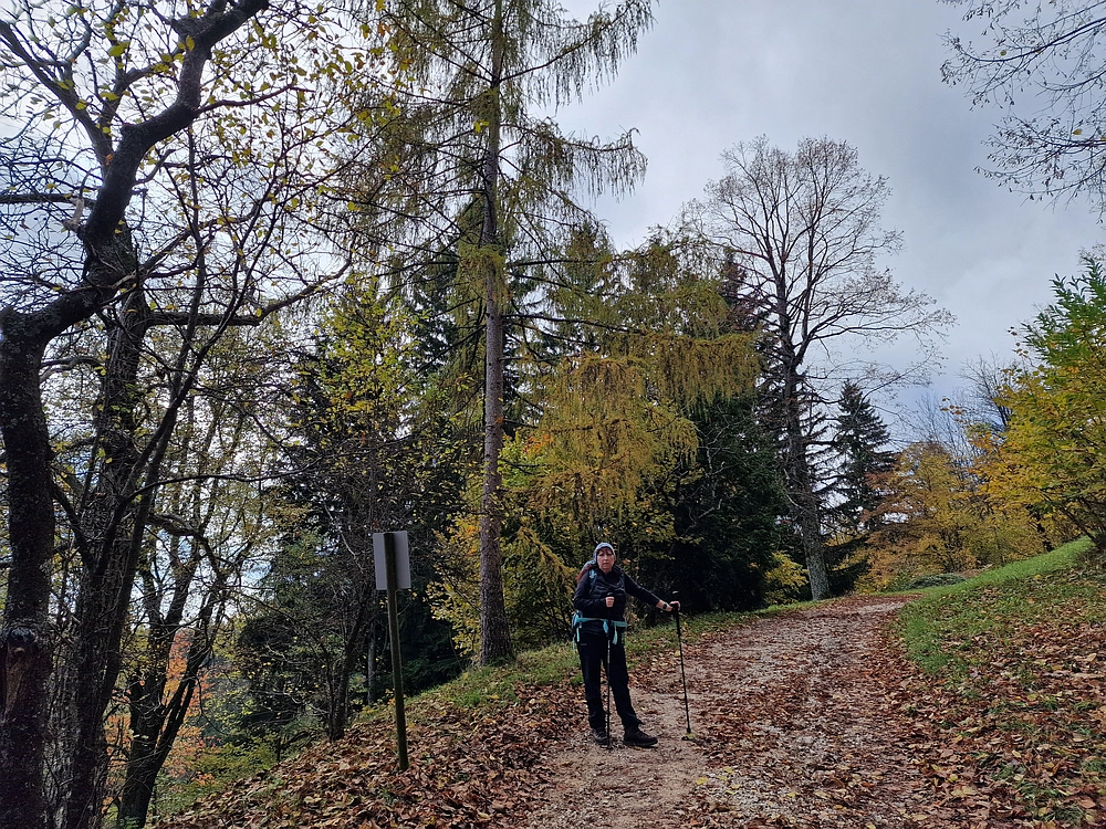 Mrzlica, 25. 10. 2025