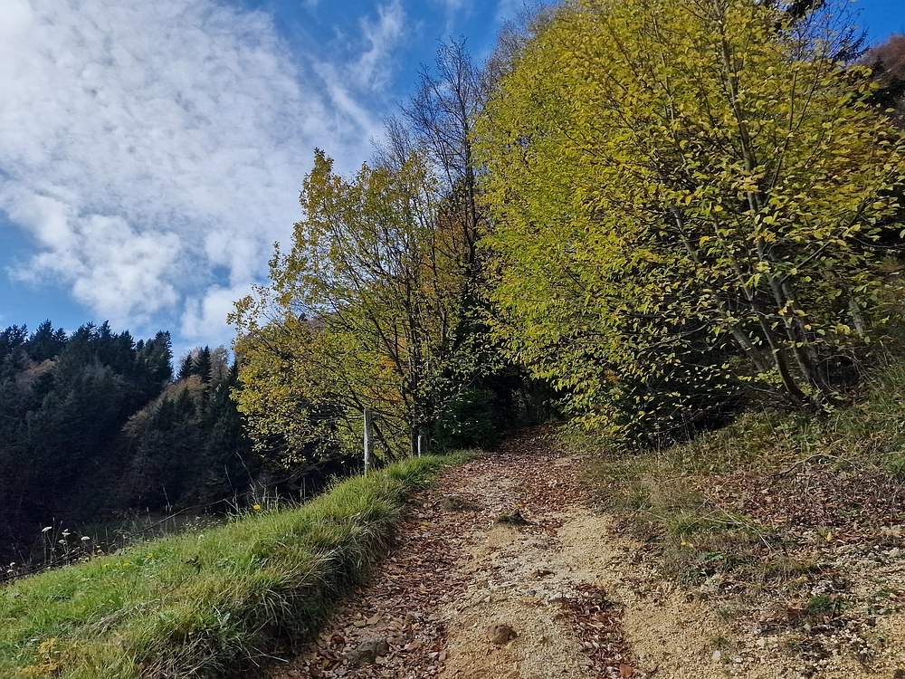 Mrzlica, 25. 10. 2025