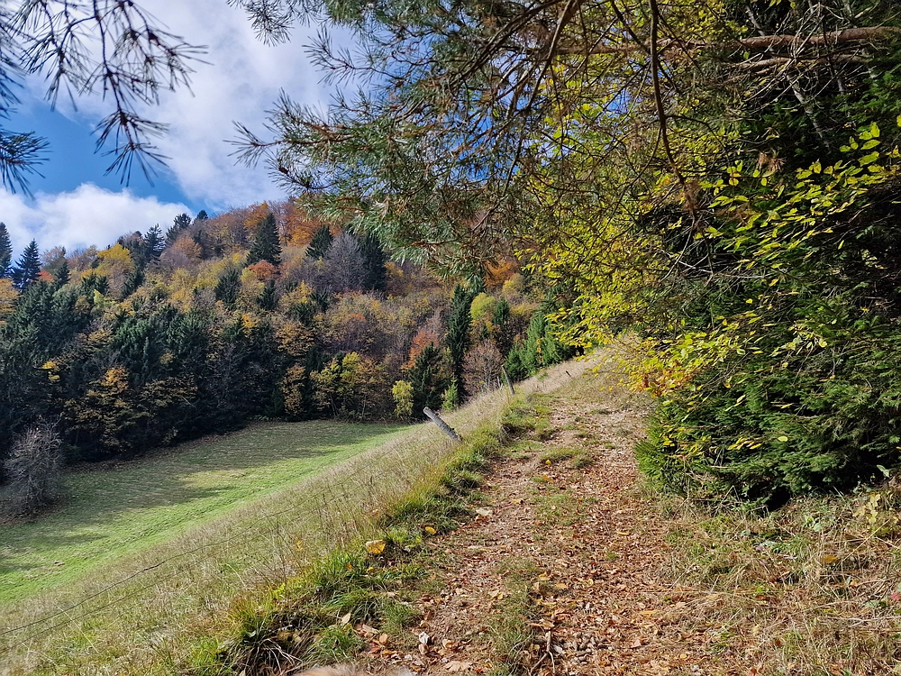 Mrzlica, 25. 10. 2025