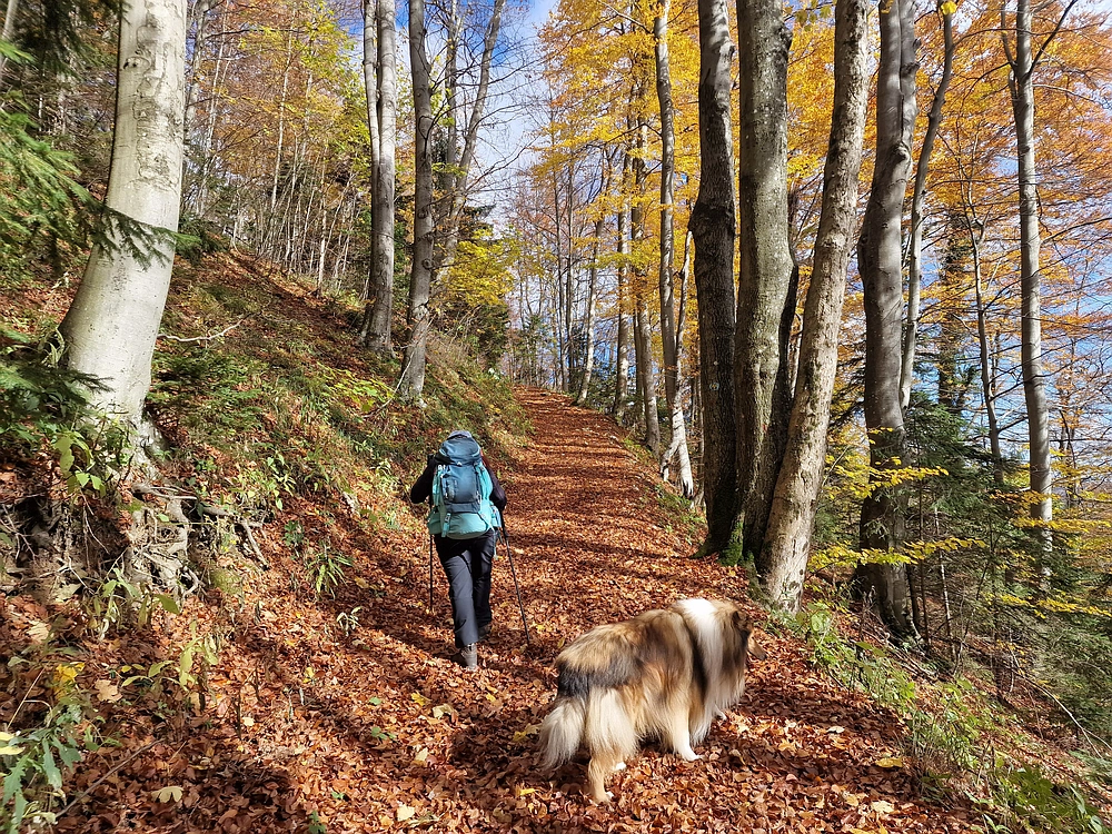 Mrzlica, 25. 10. 2025