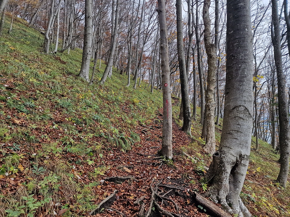 Mrzlica, 25. 10. 2025