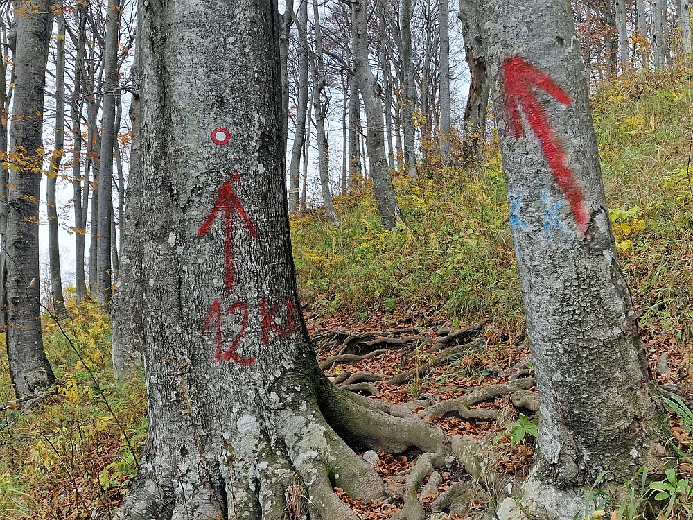 Mrzlica, 25. 10. 2025