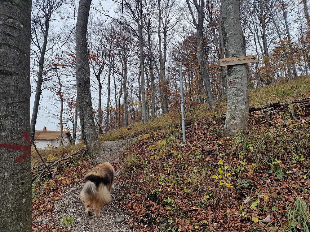 Mrzlica, 25. 10. 2025