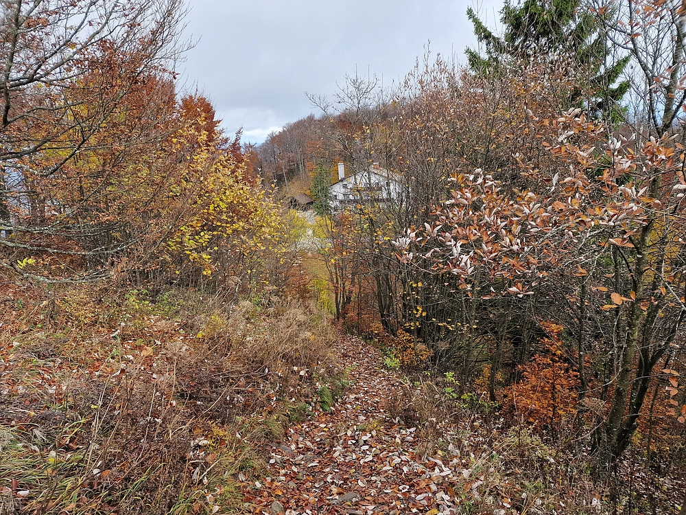 Mrzlica, 25. 10. 2025