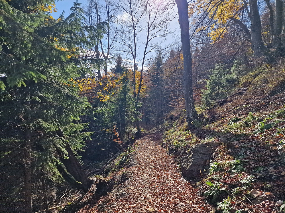 Mrzlica, 25. 10. 2025