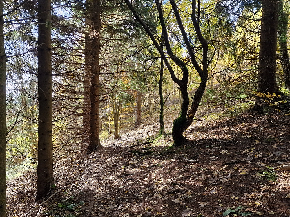 Mrzlica, 25. 10. 2025