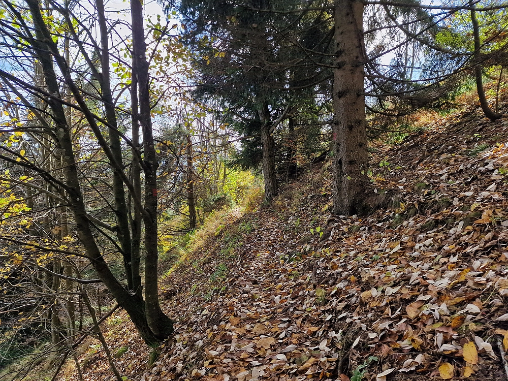 Mrzlica, 25. 10. 2025