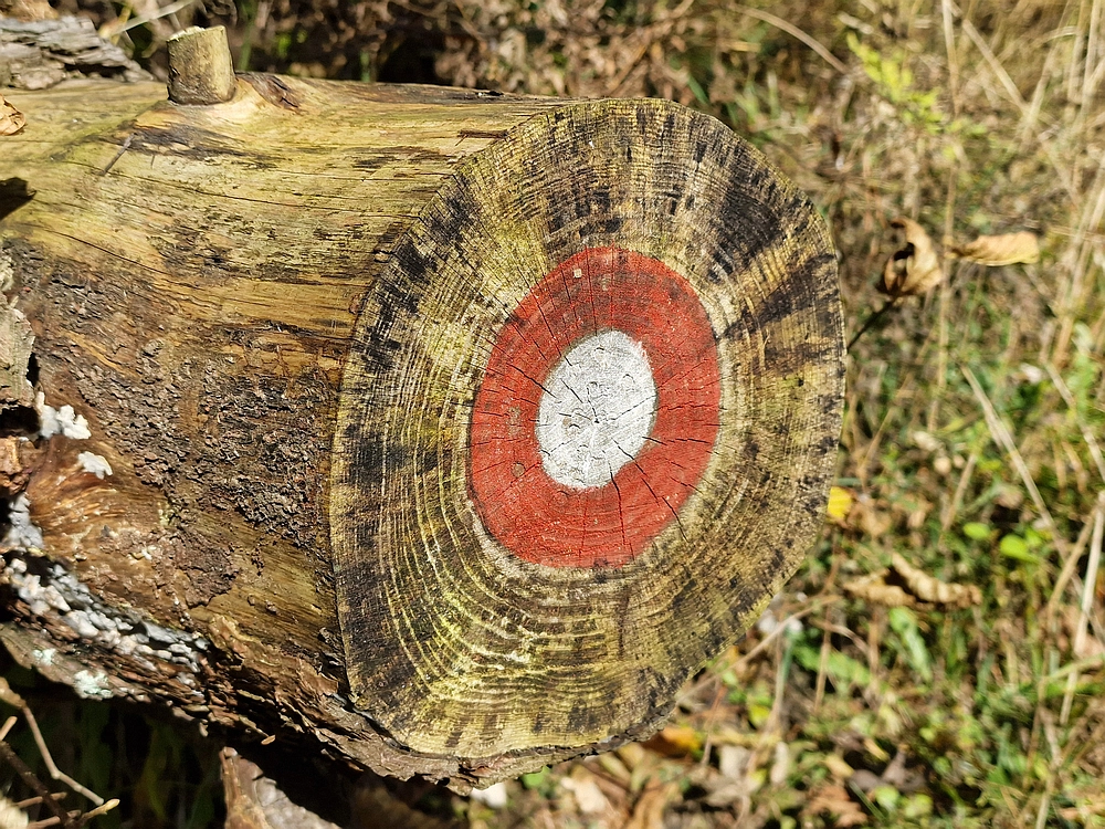 Mrzlica, 25. 10. 2025