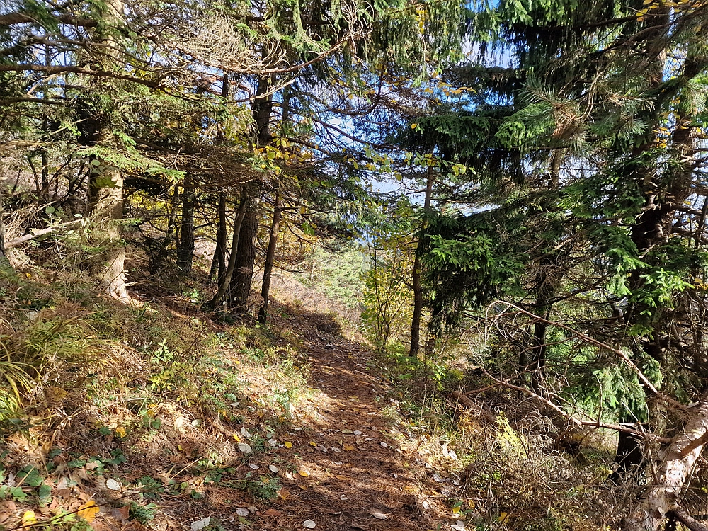 Mrzlica, 25. 10. 2025