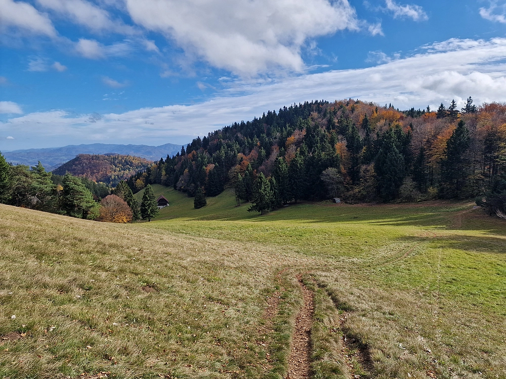 Mrzlica, 25. 10. 2025