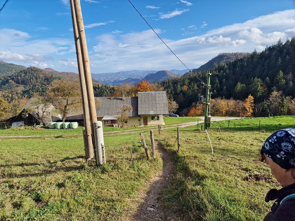 Mrzlica, 25. 10. 2025