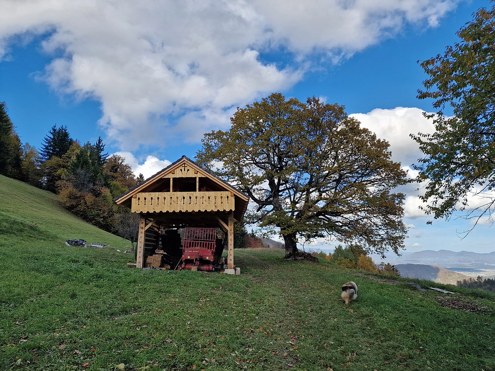 Mrzlica, 25. 10. 2025