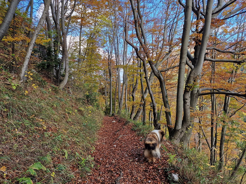 Mrzlica, 25. 10. 2025