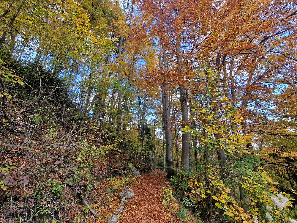 Mrzlica, 25. 10. 2025