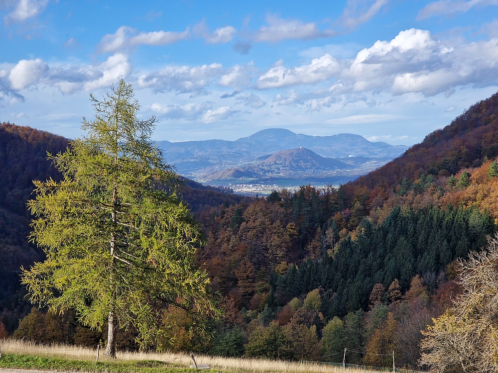 Mrzlica, 25. 10. 2025