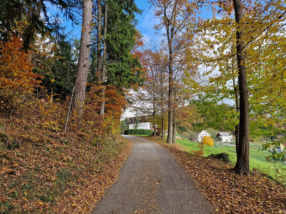 Mrzlica čez Zg. Čeče, 29. 10. 2025