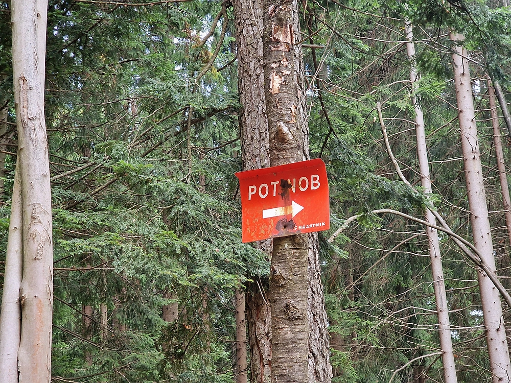 Mrzlica čez Zg. Čeče, 29. 10. 2025