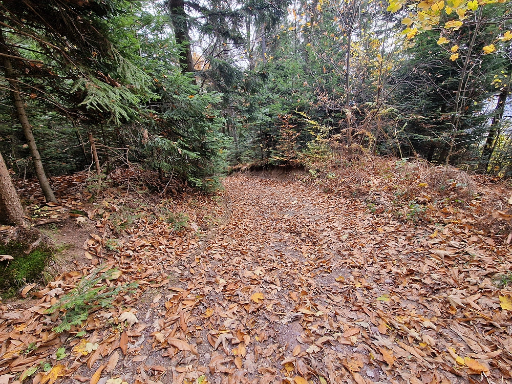 Mrzlica čez Zg. Čeče, 29. 10. 2025