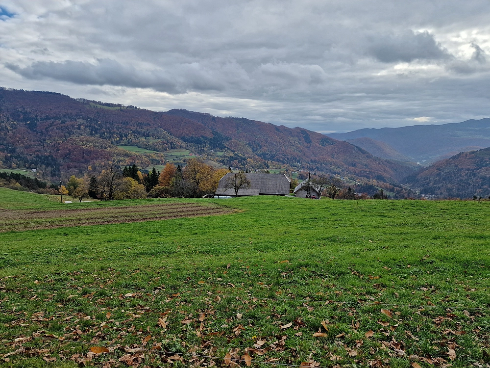 Mrzlica čez Zg. Čeče, 29. 10. 2025