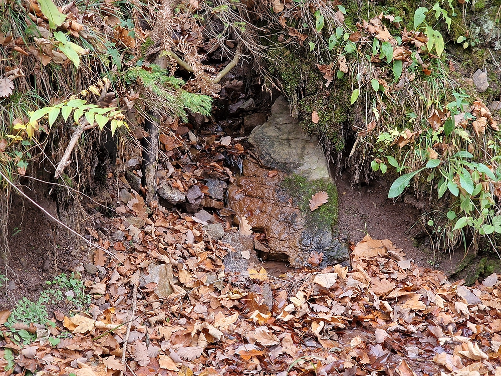 Mrzlica čez Zg. Čeče, 29. 10. 2025