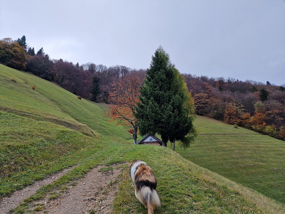 Mrzlica čez Zg. Čeče, 29. 10. 2025