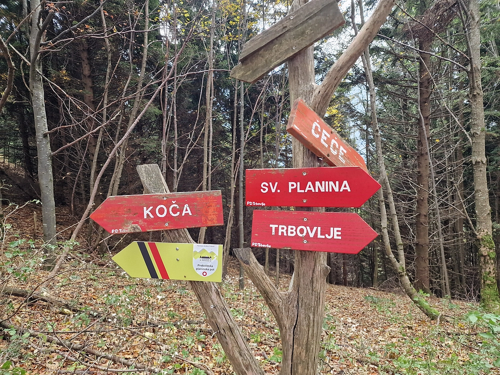 Mrzlica čez Zg. Čeče, 29. 10. 2025