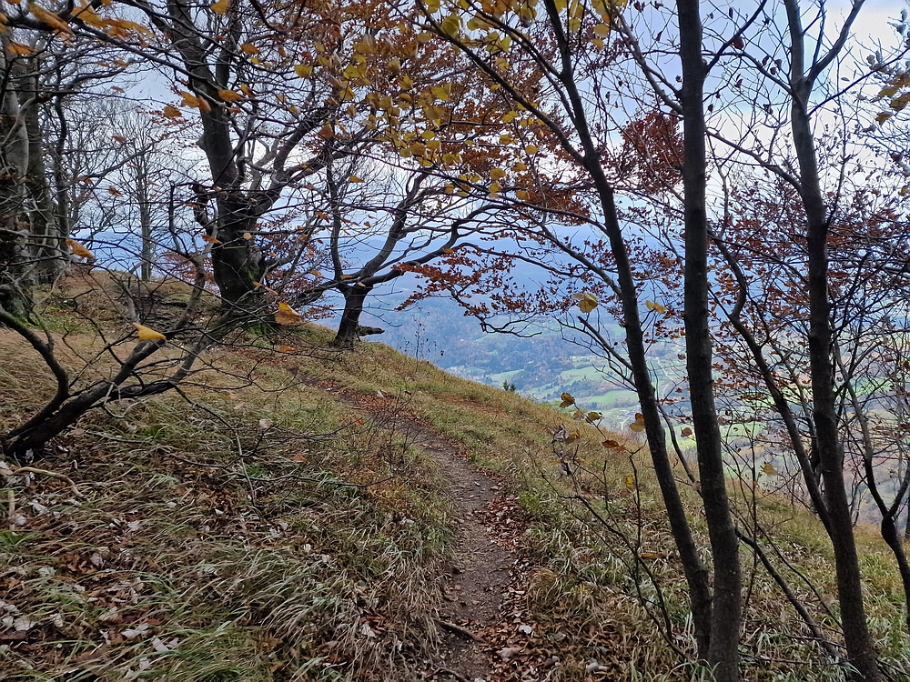 Mrzlica čez Zg. Čeče, 29. 10. 2025