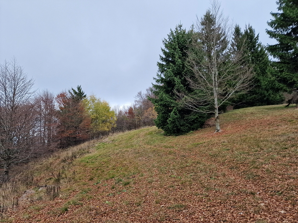 Mrzlica čez Zg. Čeče, 29. 10. 2025