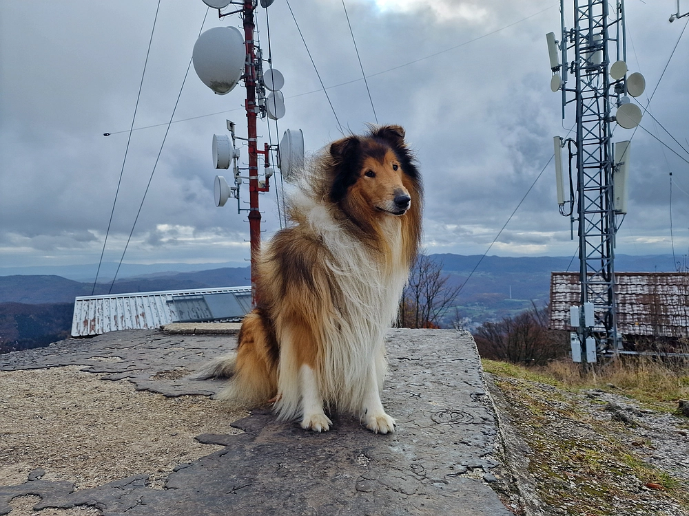Mrzlica čez Zg. Čeče, 29. 10. 2025