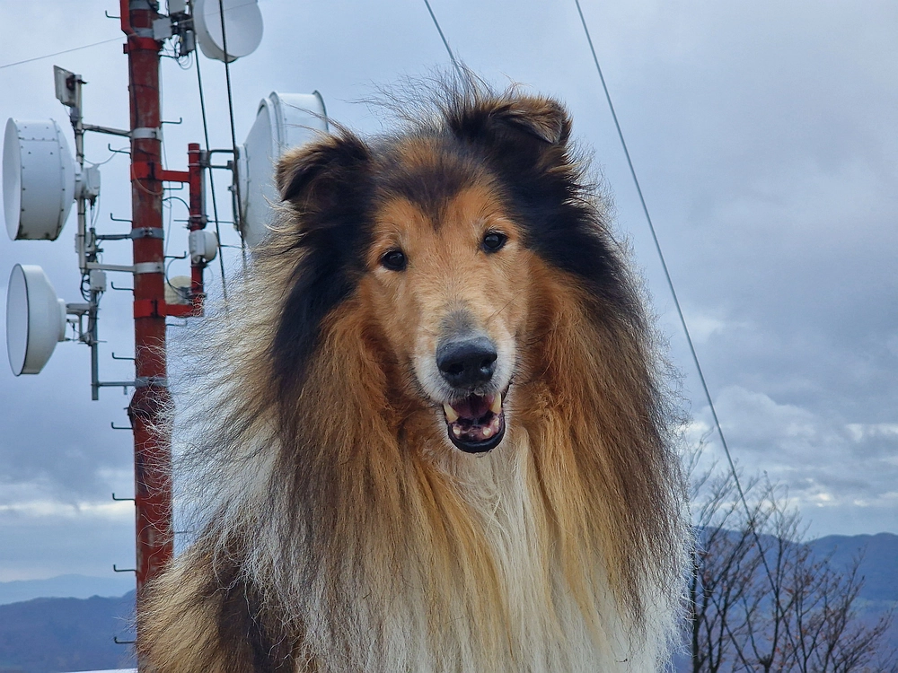 Mrzlica čez Zg. Čeče, 29. 10. 2025