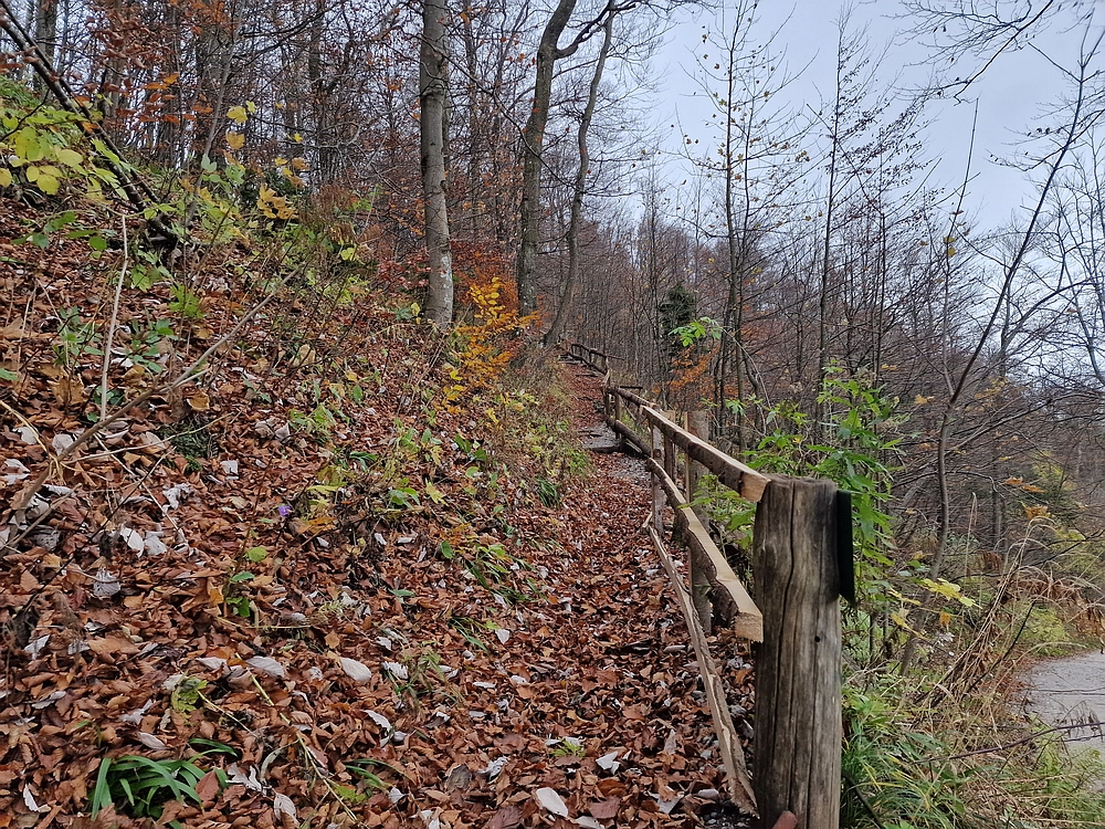 Mrzlica čez Zg. Čeče, 29. 10. 2025