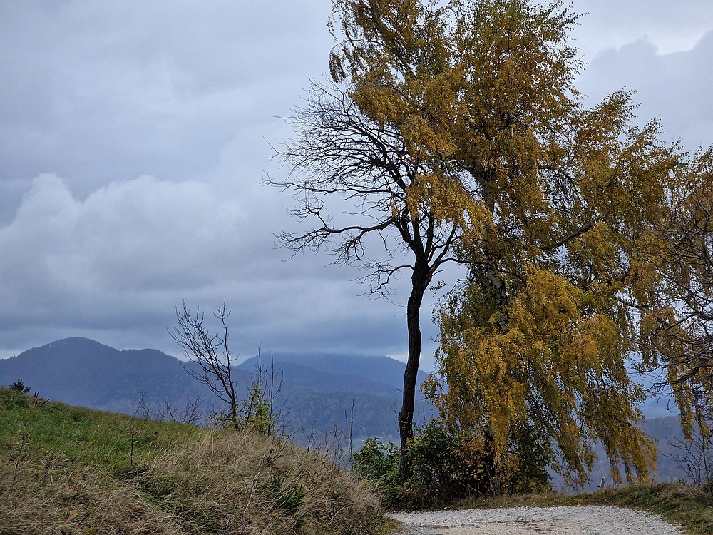 Mrzlica čez Zg. Čeče, 29. 10. 2025