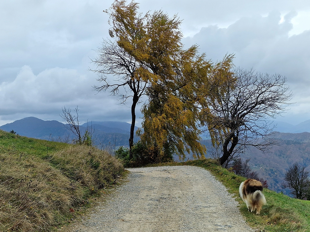 Mrzlica čez Zg. Čeče, 29. 10. 2025