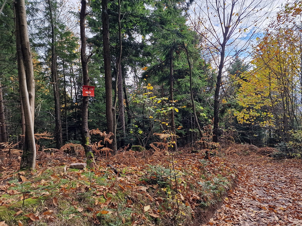 Mrzlica čez Zg. Čeče, 29. 10. 2025