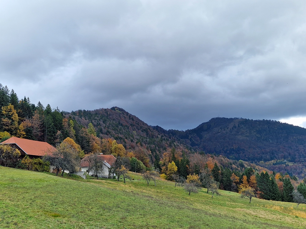 Mrzlica čez Zg. Čeče, 29. 10. 2025