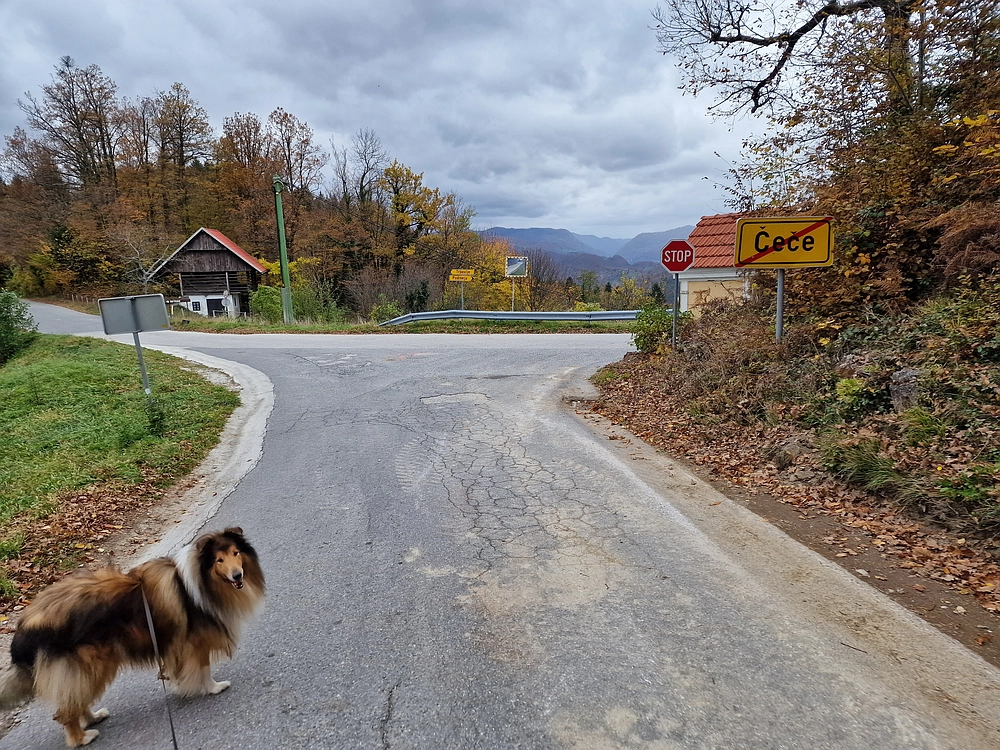 Mrzlica čez Zg. Čeče, 29. 10. 2025