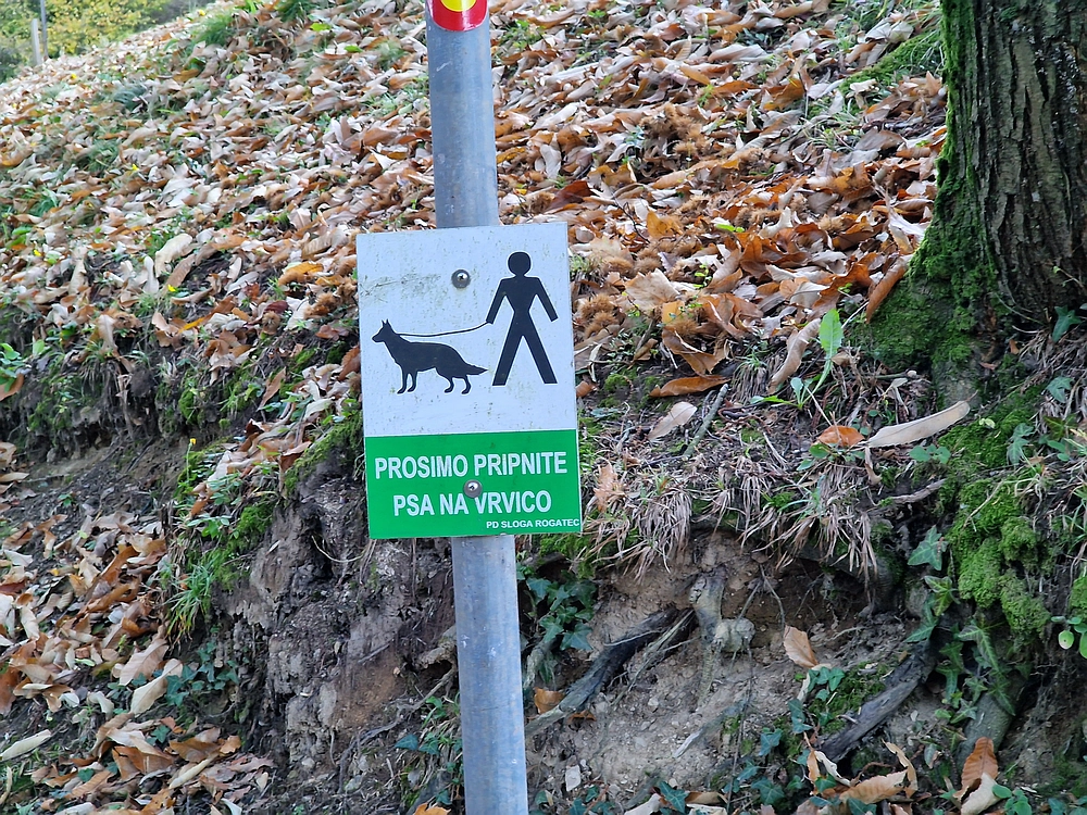 Donačka gora in Boč, 1. 11. 2025