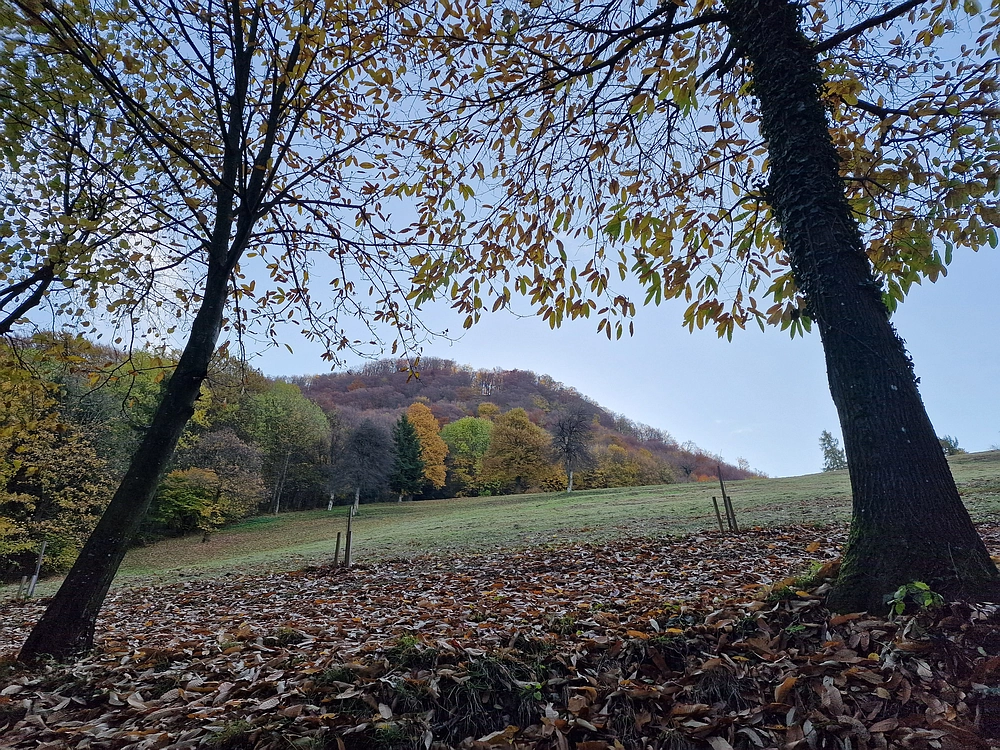 Donačka gora in Boč, 1. 11. 2025