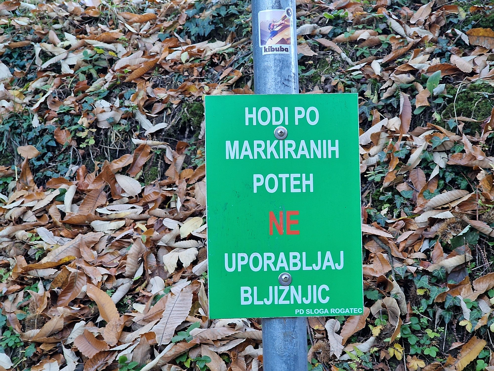 Donačka gora in Boč, 1. 11. 2025