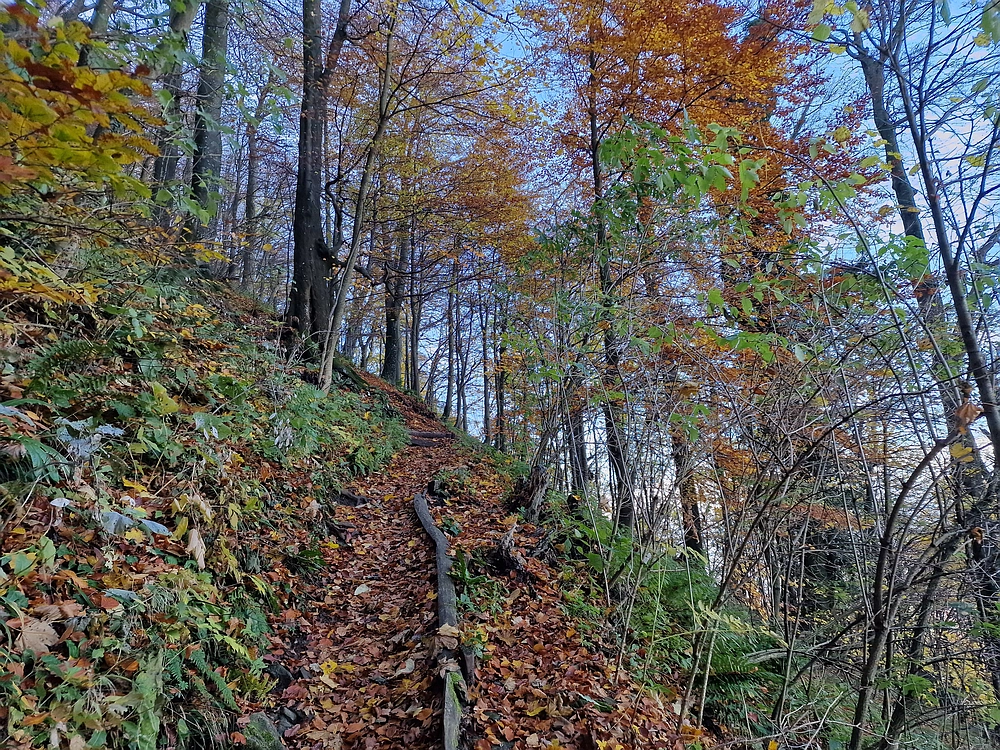 Donačka gora in Boč, 1. 11. 2025